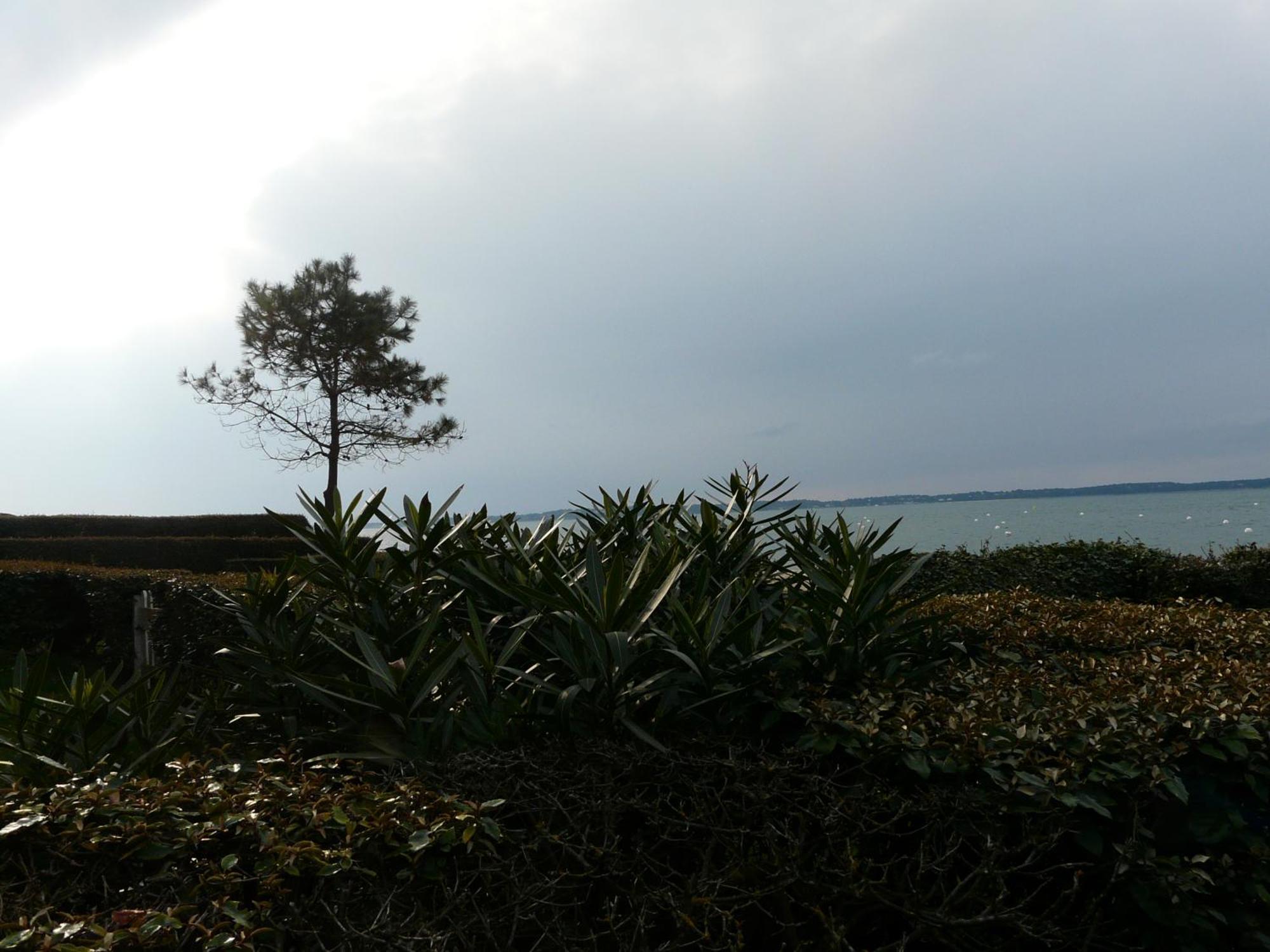 Arcachon Pereire Bord De Plage Dış mekan fotoğraf